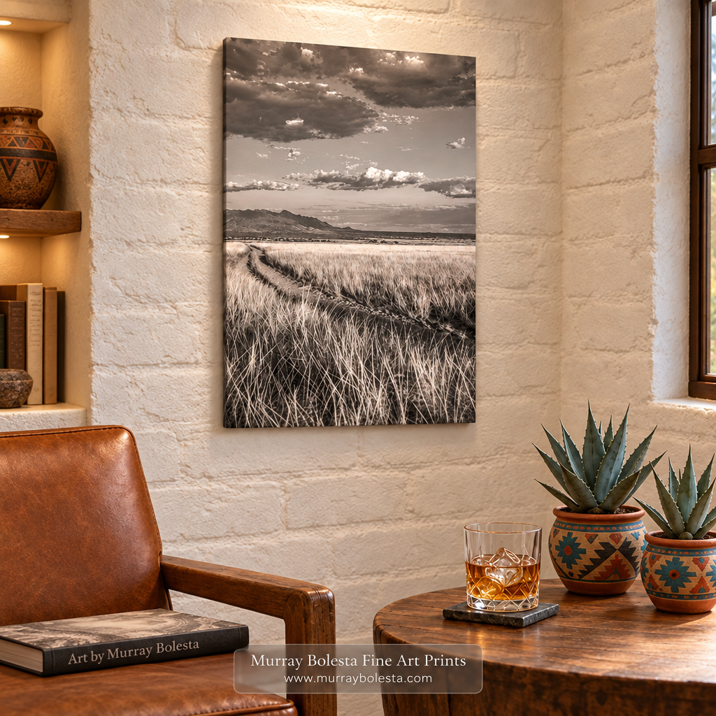 San Rafael Valley mockup with warm shelf lighting and an Art by Murray Bolesta 