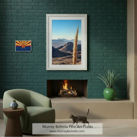 a desert landscape with a tall, spiky plant in the foreground and a distant mountain range in the background. Mount Hopkins Road – Santa Rita Mountains Sotol Agave Print by Murray Bolesta