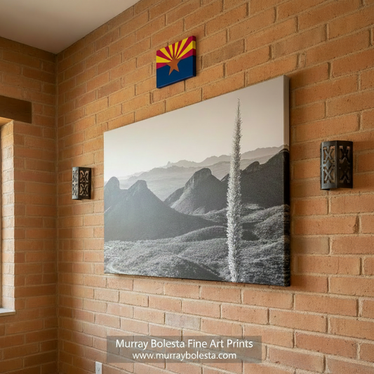 A black and white photograph of a desert landscape with mountains in the background. Santa Rita Mountains Art – Black & White Sotol Agave Print by Murray Bolesta