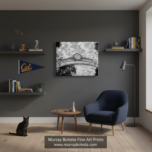 A black and white fine art print of Cal University's Sather Gate archway, displayed on a dark gray wall in a modern styled room with a navy blue armchair, wooden shelves, and a cat.