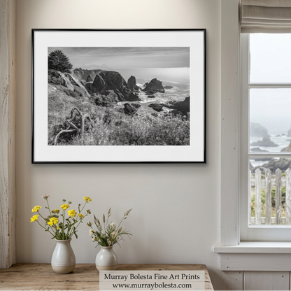 Sea Ranch coastline artwork by Murray Bolesta