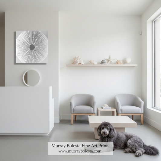 A styled interior room with two light gray armchairs, a low white coffee table, a white wall shelf with seashell decor, and a gray dog lying on the floor. On the left wall is a square white abstract print with a circular motif and a smaller round mirror.