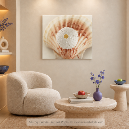Seashell art by Murray Bolesta!