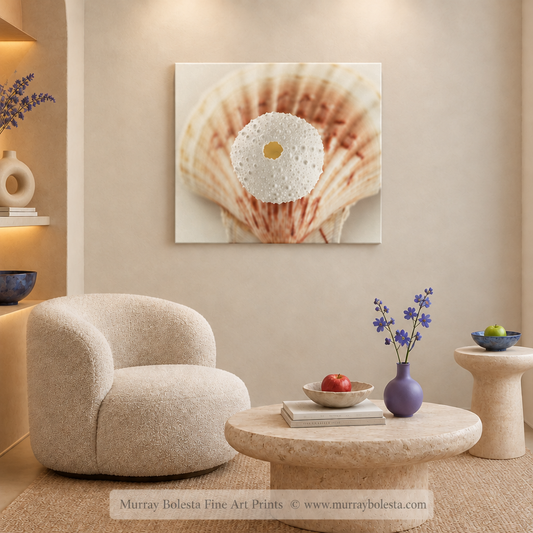 Seashell art by Murray Bolesta!