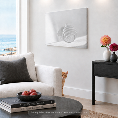 Seacoast living room with minimalist seashell art by Murray Bolesta