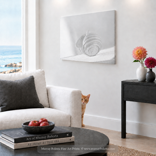 Seacoast living room with minimalist seashell art by Murray Bolesta