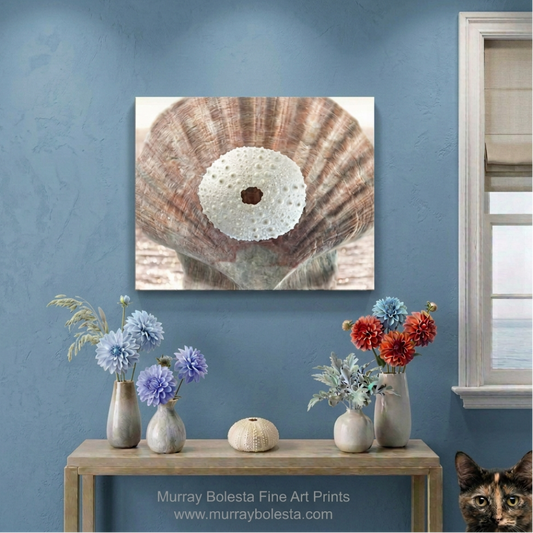 Surreal seashell ocean art with sea urchin by Murray Bolesta