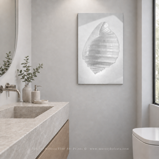 Seashell bathroom artwork in black & white by Murray Bolesta.