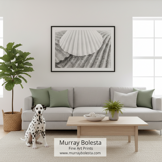 A framed black and white art print of a seashell hanging on a light gray wall above a modern gray sofa in a bright living room. A Dalmatian sits on the floor to the left, and a coffee table with plants is in front. By Murray Bolesta.