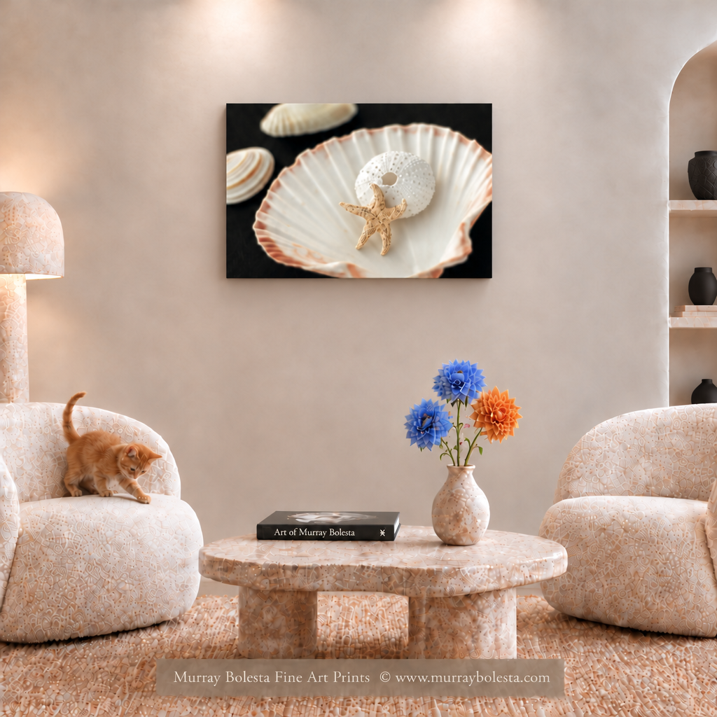 Seashell still life art by Murray Bolesta