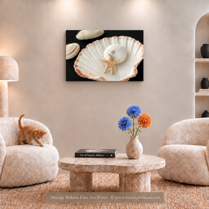 Seashell still life art by Murray Bolesta