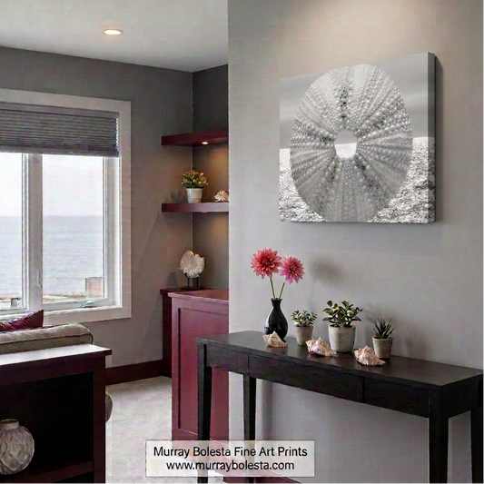 Seashell wall art with surreal sea urchin by Murray Bolesta