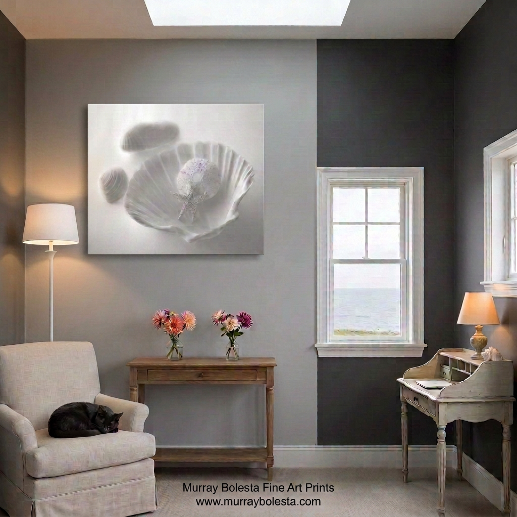 Seashell art still life print by Murray Bolesta