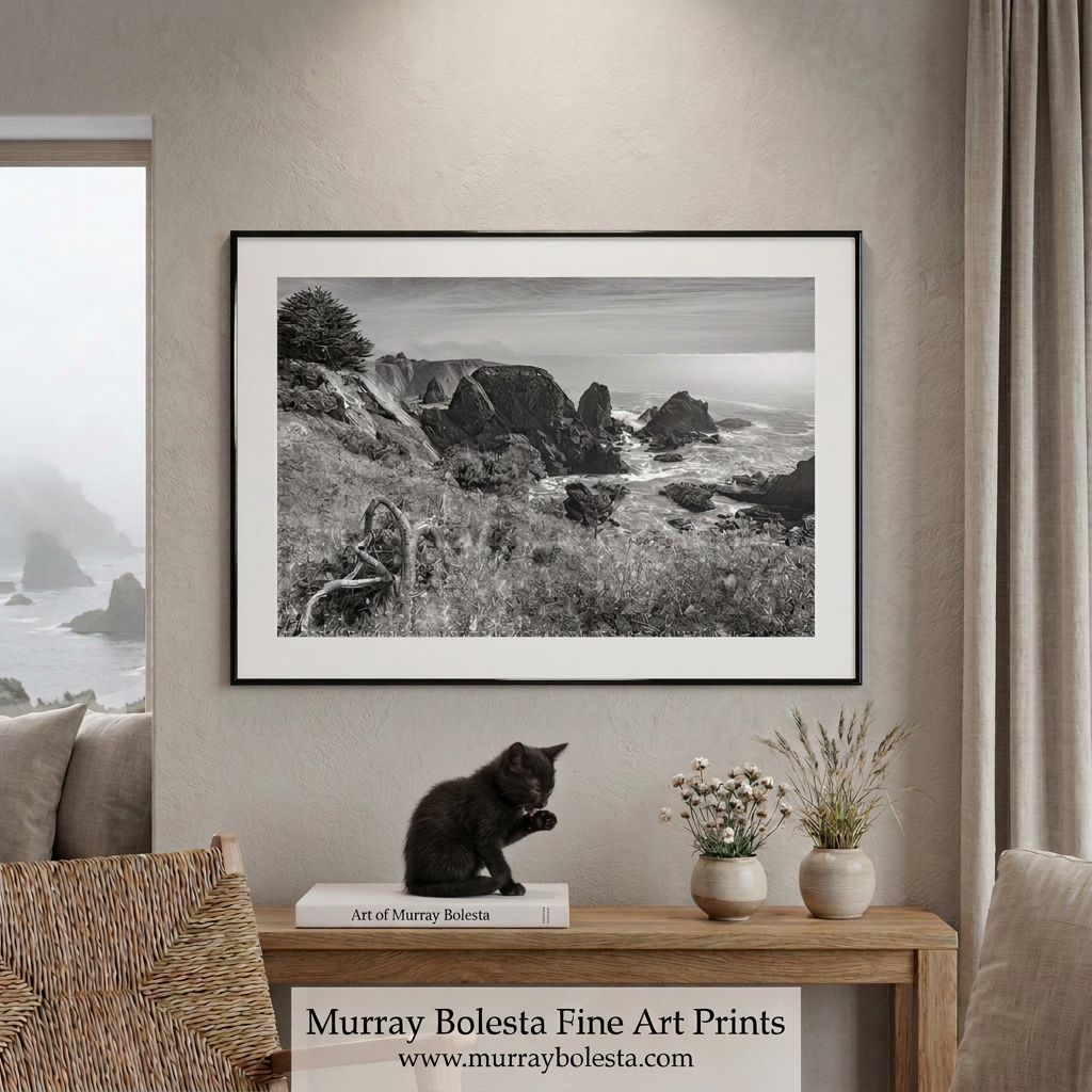 Mendocino Coast art print in B&W by Murray Bolesta.