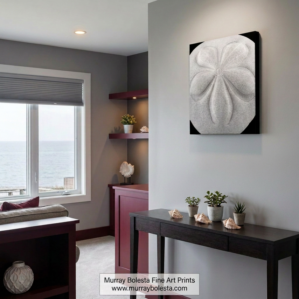 Sea biscuit seashell art print on canvas by Murray Bolesta