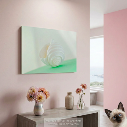 Minimalist white seashell on green, art by Murray Bolesta