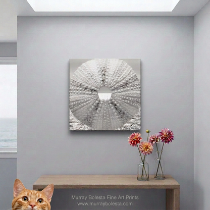 Seaside mockup with medium-grey caption lettering