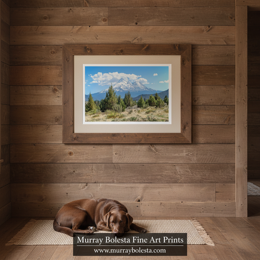Mount Shasta Landscape Art - Northern California Mountain Wall Print