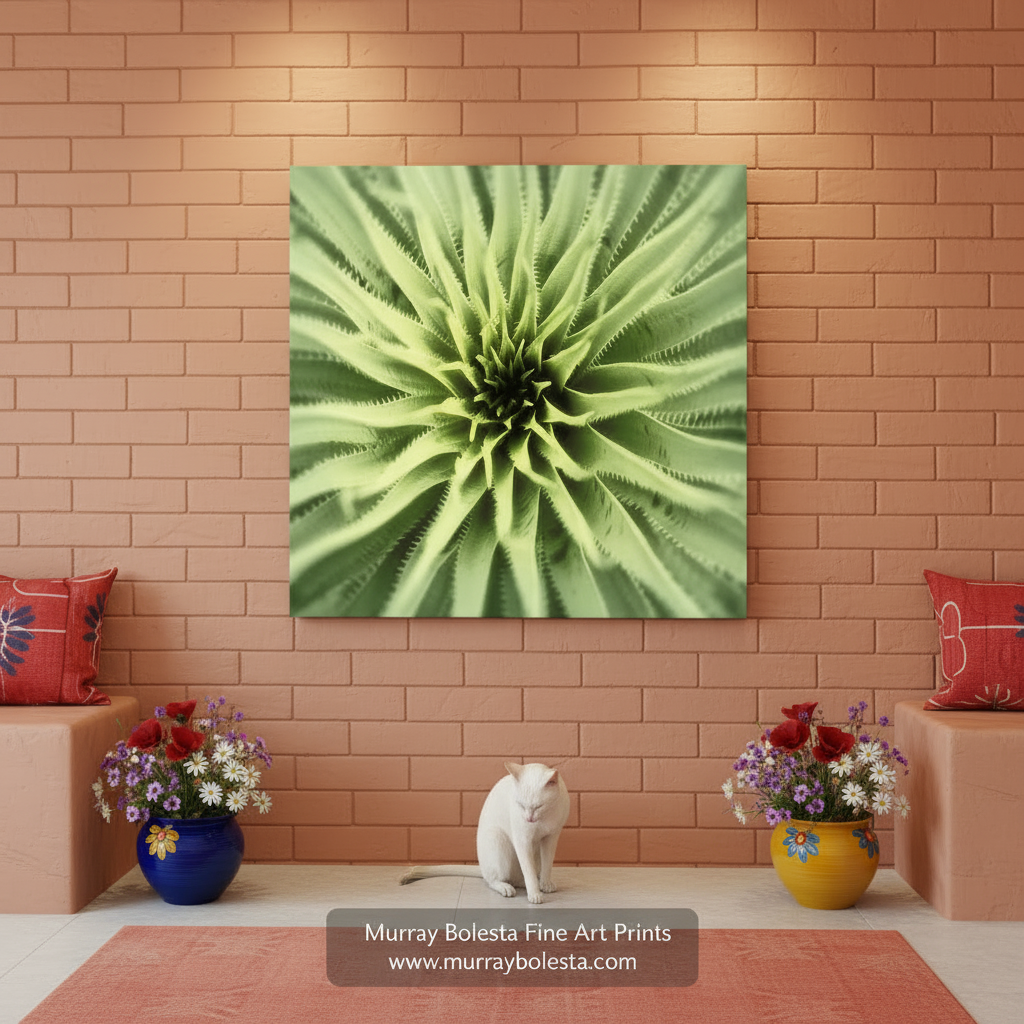 Close-up of a green plant with a white background by Murray Bolesta Fine Art
