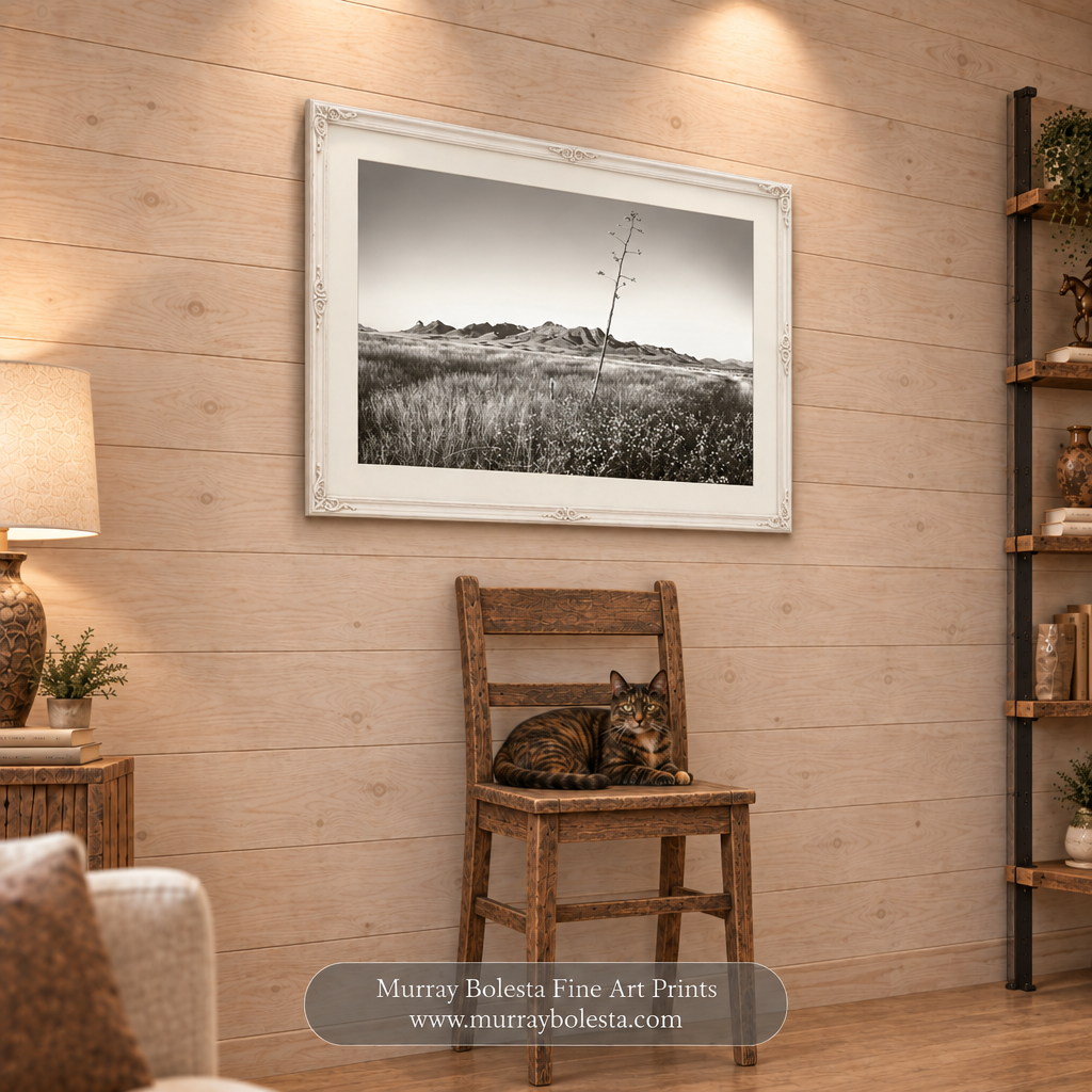 Cienegas Valley Southern ARizona landscape art by Murray Bolesta
