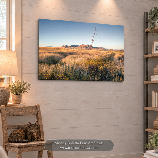 S. Arizona grasslands art by Murray Bolesta