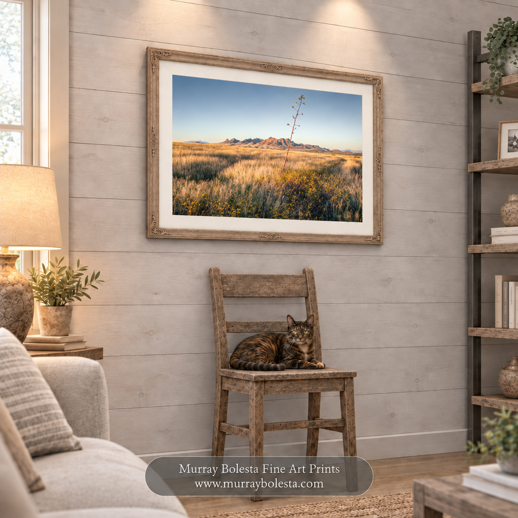 S Arizona grasslands art by Murray Bolesta