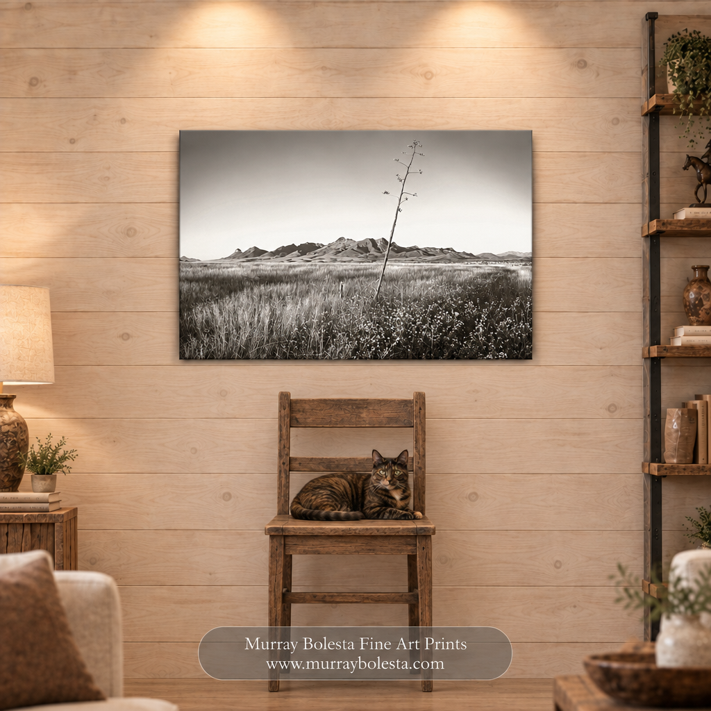 Southern Arizona landscape art with grasslands by Murray Bolesta