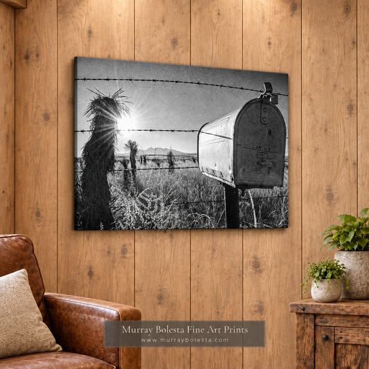 Cienega Valley Sonoita Arizona landscape art rural America by Murray Bolesta