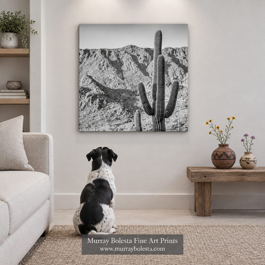 Art of Gates Pass Tucson Arizona by Murray Bolesta