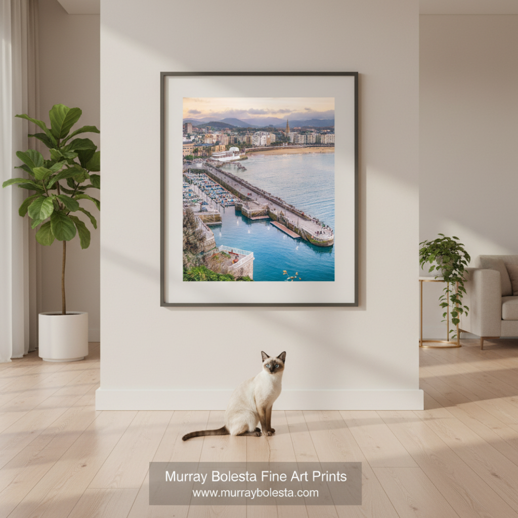 San Sebastian Spain by Murray Bolesta! A framed art print of a coastal harbor city with blue water and mountains hangs on a light beige wall in a modern living room. A white cat sits on the wooden floor below the frame.