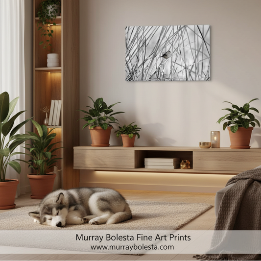 A framed wall art print showing a black-and-white reed or grassy scene with a small bird, displayed above a wooden console in a styled living room. A husky lies on a rug in the foreground, and plants and shelving are visible around the room.
