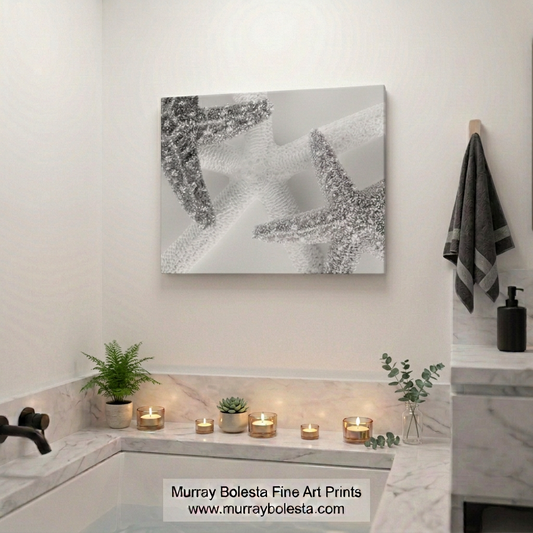 Starfish art by Murray Bolesta in Black & White