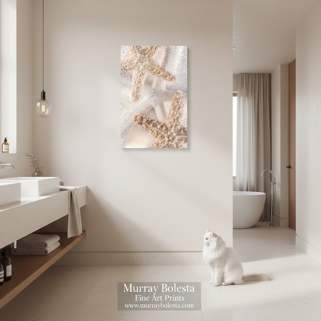 By Murray Bolesta - A white cat sits in a bright, modern bathroom looking at a vertical canvas print on the wall featuring a close-up photograph of beige and white starfish on textured sand. The print is by Murray Bolesta, whose watermark is visible at the bottom.