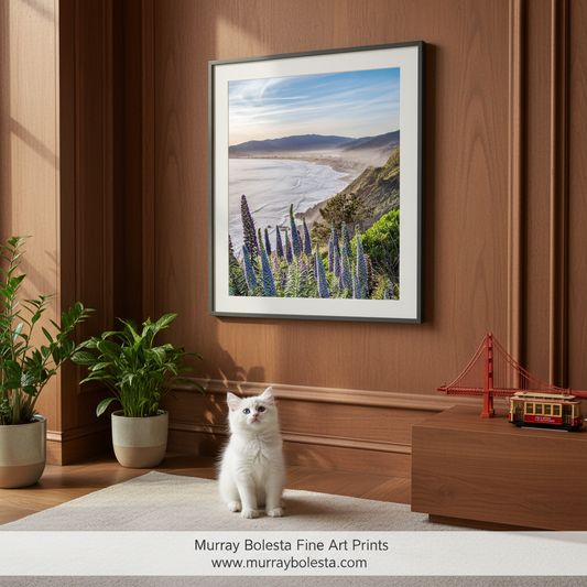 Stinson Beach California Art Print by Murray Bolesta!