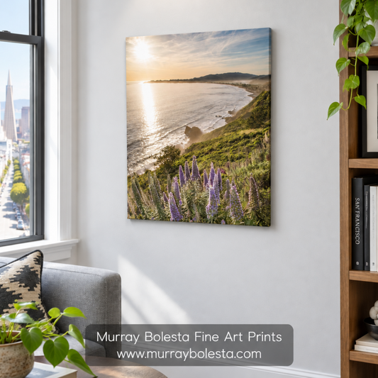 Stinson Beach art photography by Murray Bolesta