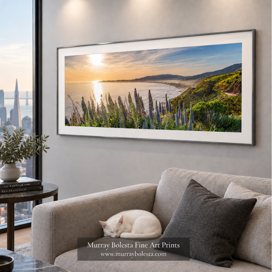 Stinson beach panorama by Murray Bolesta!