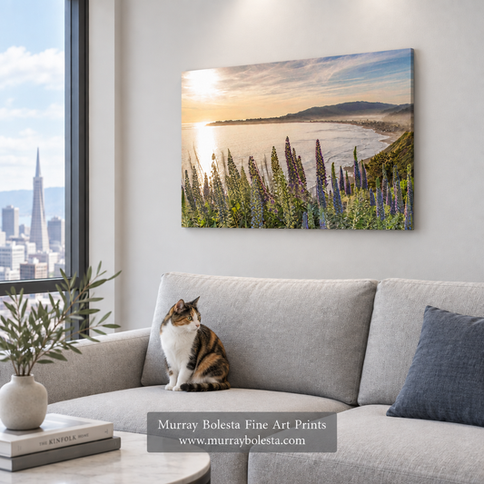 Stinson Beach art print by Murray Bolesta