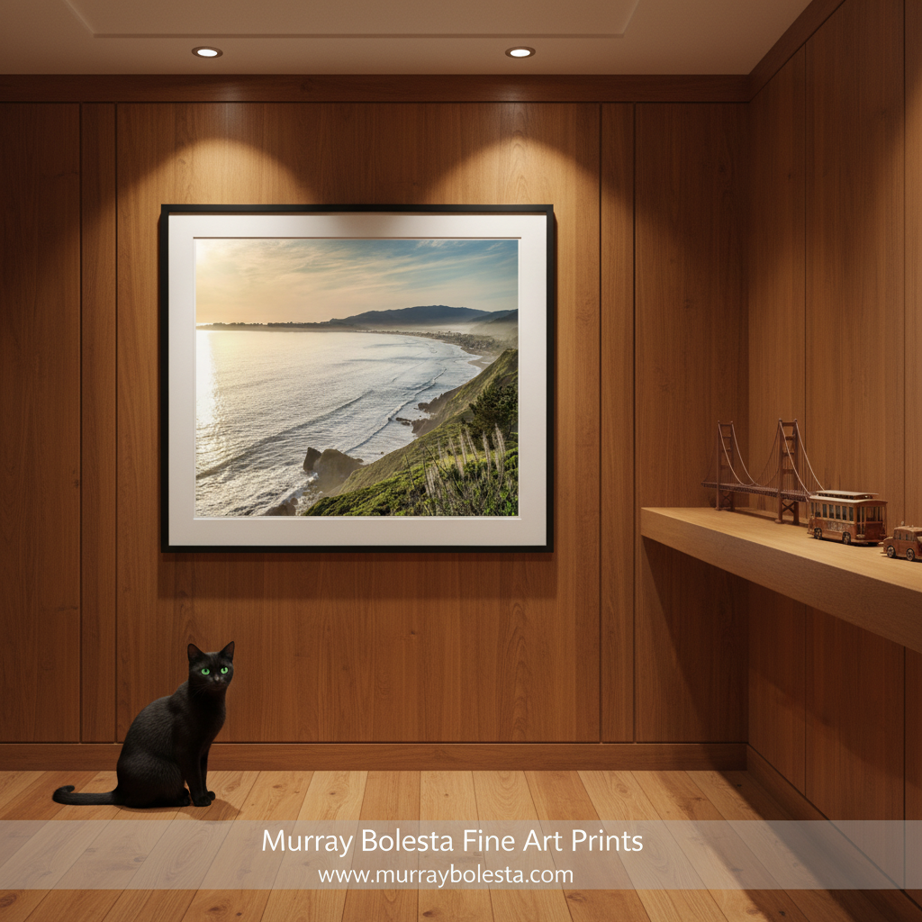 Stinson Beach California by Murray Bolesta! A framed coastal landscape print hangs on a wood-paneled wall in a modern interior. A black cat sits on the floor below the frame, and a shelf with small model structures is visible to the right.