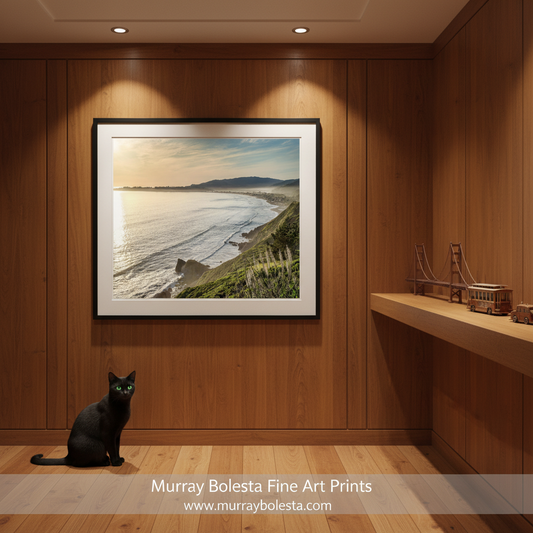 Stinson Beach California by Murray Bolesta! A framed coastal landscape print hangs on a wood-paneled wall in a modern interior. A black cat sits on the floor below the frame, and a shelf with small model structures is visible to the right.