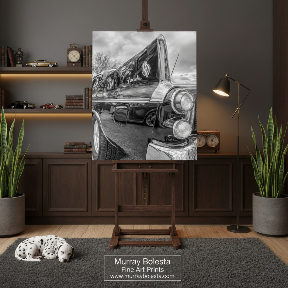 Studebaker art by Murray Bolesta! A black and white art print of a classic convertible car hanging on a wooden easel in a styled room setting with a dog sleeping on a rug, plants, and shelves.