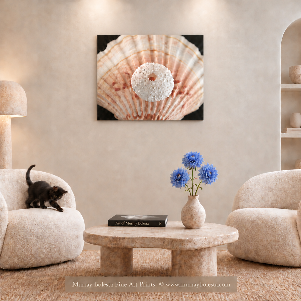 Seashell art in surreal style by Murray Bolesta. Still life art.
