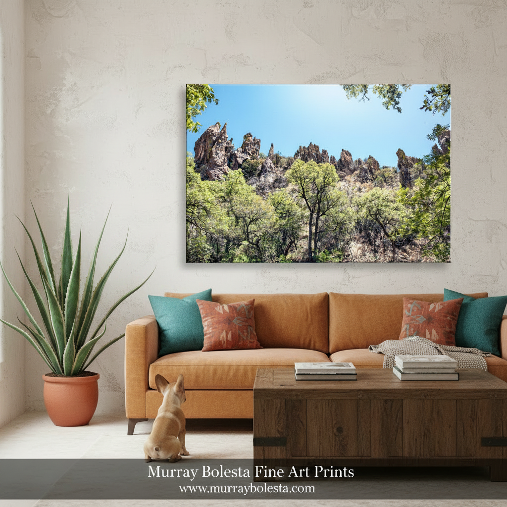 Arizona Mexico Border Desert Canyon Art Print | Wilderness Photography by Murray Bolesta