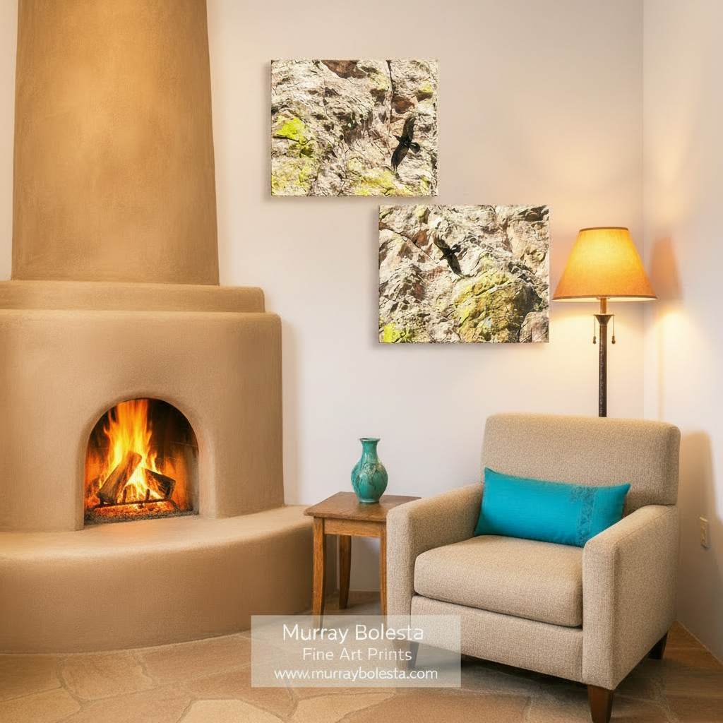 The image is a collage of two square photographs depicting birds perched on rocky surfaces with patches of green moss. Sycamore Canyon raven birds by Murray Bolesta