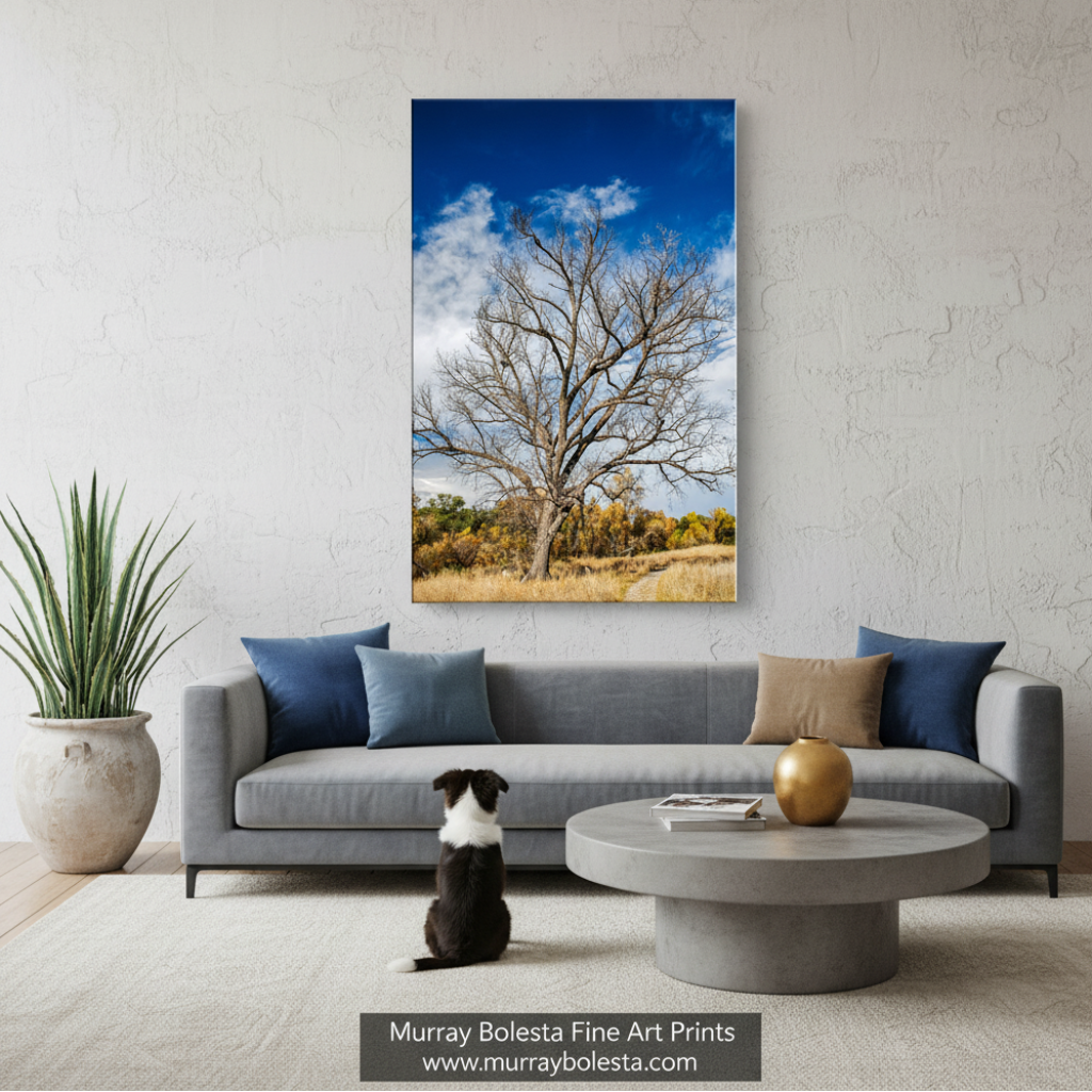 Winter Tree Nature Art Print | Arizona Border Wilderness Canyon Picture by Murray Bolesta