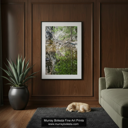 A framed vertical art print depicting a forest stream scene with green foliage and reflective water, displayed on a dark wood paneled wall above a rug with a sleeping dog and a potted plant nearby. The print has a white mat and a thin black frame. Sycamore Canyon Arizona art by Murray Bolesta!