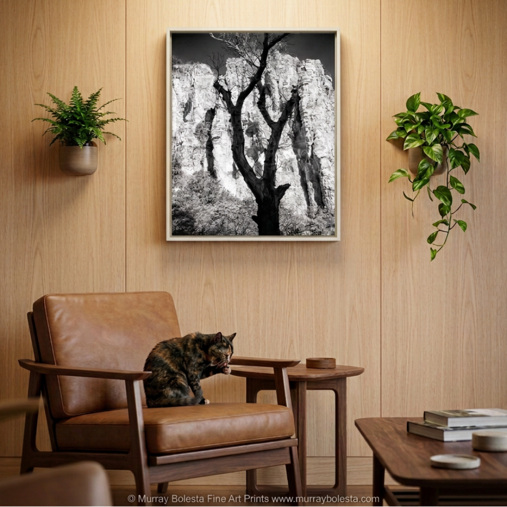 Sycamore Canyon borderland Arizona USA in Black & White, art print by Murray Bolesta