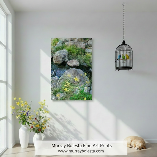 A vertical canvas art print depicting a rocky stream with green grass and yellow wildflowers, displayed on a white wall in a styled room mockup with a hanging birdcage, flower vases, and a sleeping dog. Sycamore Canyon art by Murray Bolesta!
