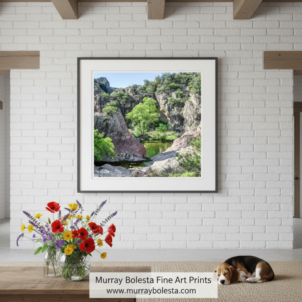 Mexico Border Arizona Desert Canyon Landscape Art Print | Square Picture by Murray Bolesta