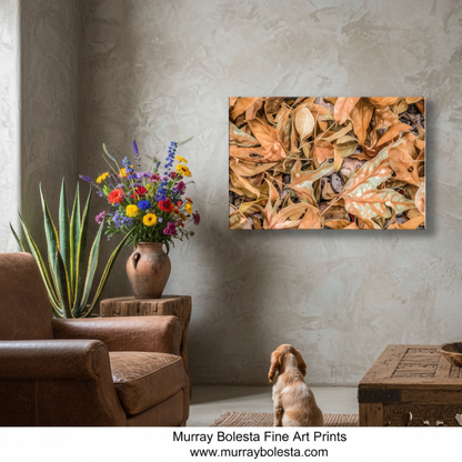 a close-up view of a pile of dried sycamore tree leaves, with a variety of colors and textures, including shades of orange, brown, and green. Sycamore Canyon by Murray Bolesta!
