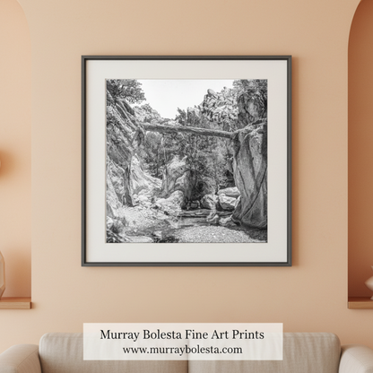 Black and White Desert Canyon Wall Art with Creek and Fallen Log